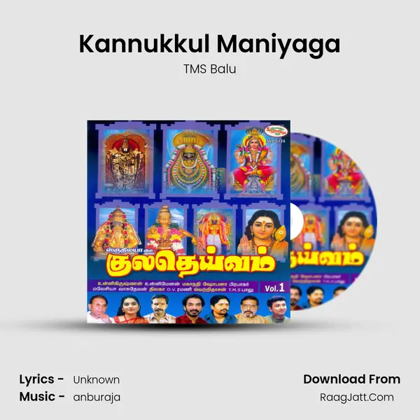 Kannukkul Maniyaga Song mp3 | TMS Balu