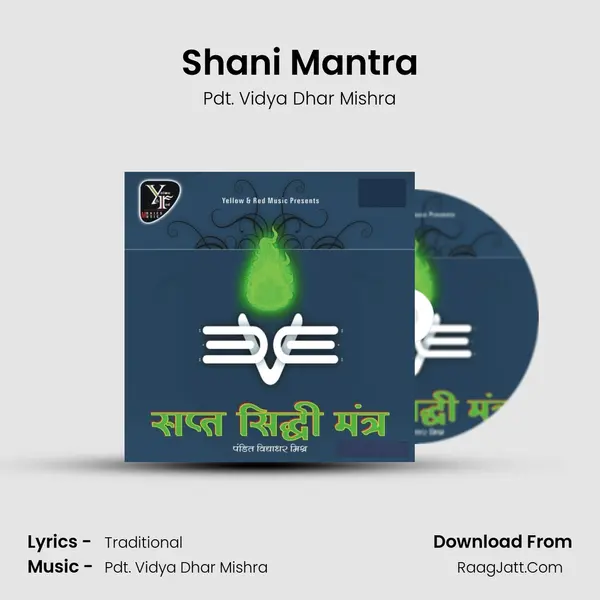 Shani Mantra Song mp3 | Pdt. Vidya Dhar Mishra