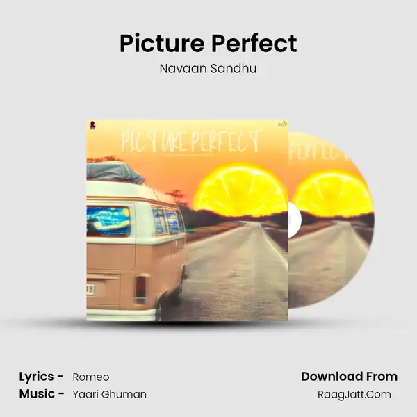 Picture Perfect mp3 song