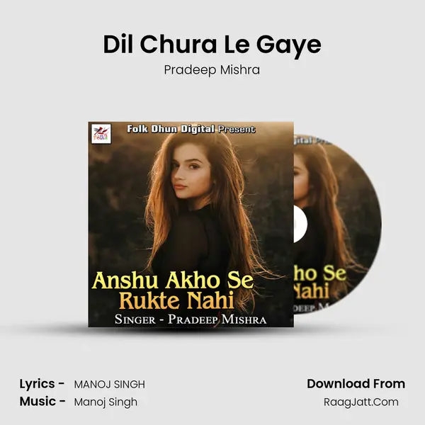 Dil Chura Le Gaye mp3 song