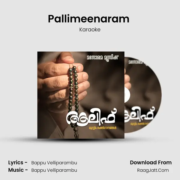 Pallimeenaram (Karaoke) Song mp3 | Karaoke