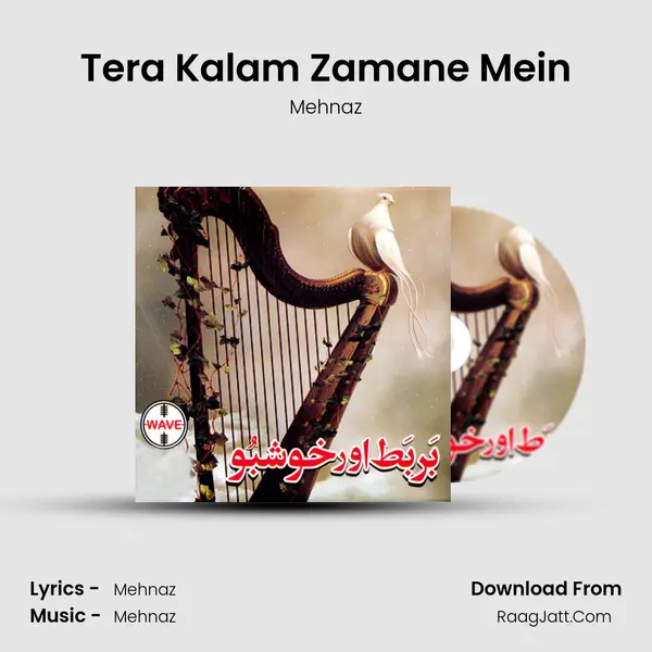 Tera Kalam Zamane Mein Song mp3 | Mehnaz