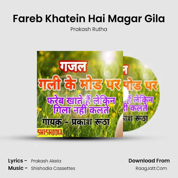 Fareb Khatein Hai Magar Gila mp3 song