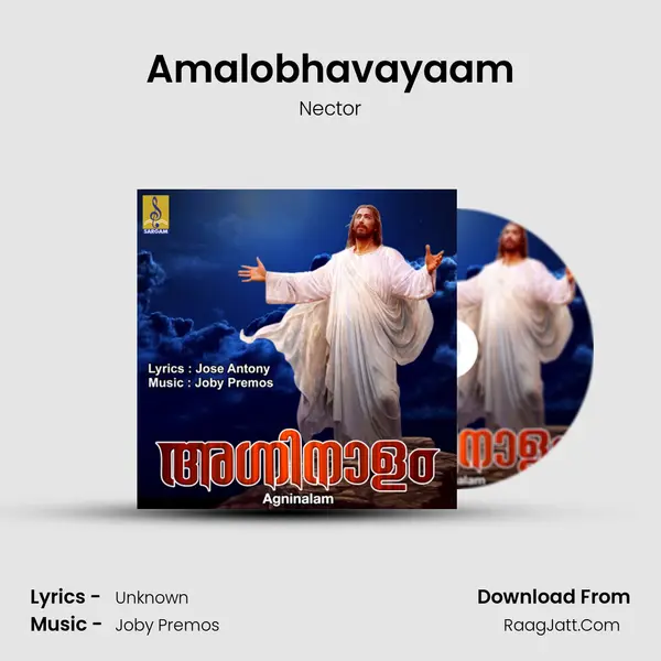 Amalobhavayaam Song mp3 | Nector