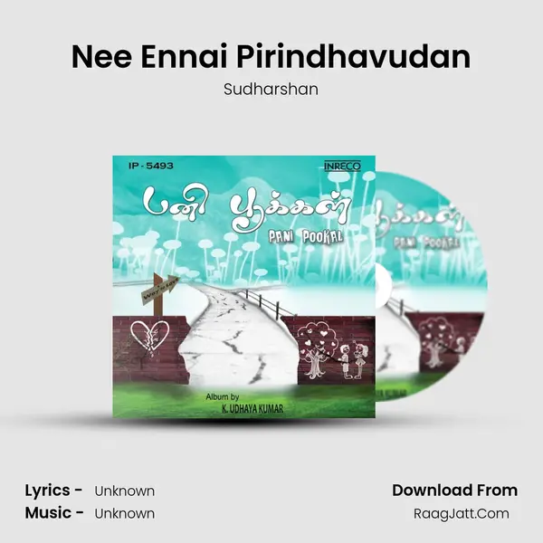 Nee Ennai Pirindhavudan Song mp3 | Sudharshan