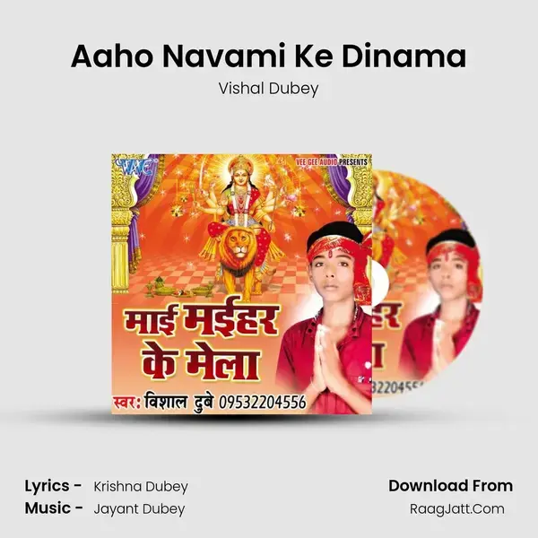 Aaho Navami Ke Dinama mp3 song