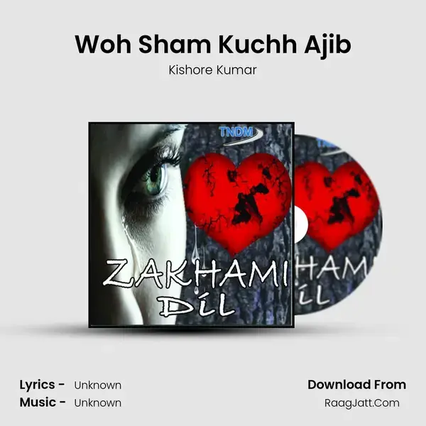 Woh Sham Kuchh Ajib Song mp3 | Kishore Kumar