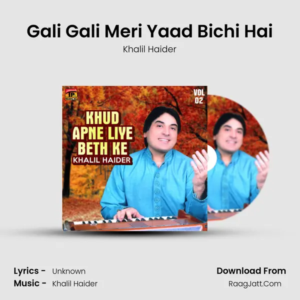 Gali Gali Meri Yaad Bichi Hai Song mp3 | Khalil Haider