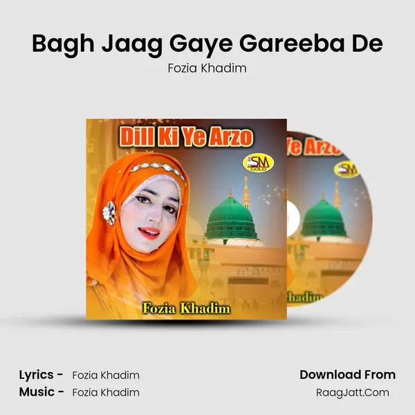 Bagh Jaag Gaye Gareeba De mp3 song