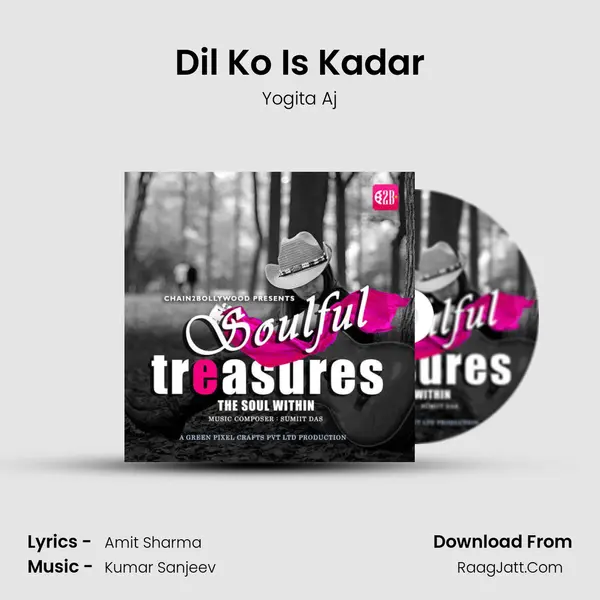 Dil Ko Is Kadar mp3 song