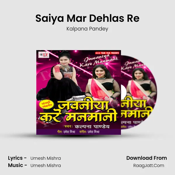 Saiya Mar Dehlas Re mp3 song