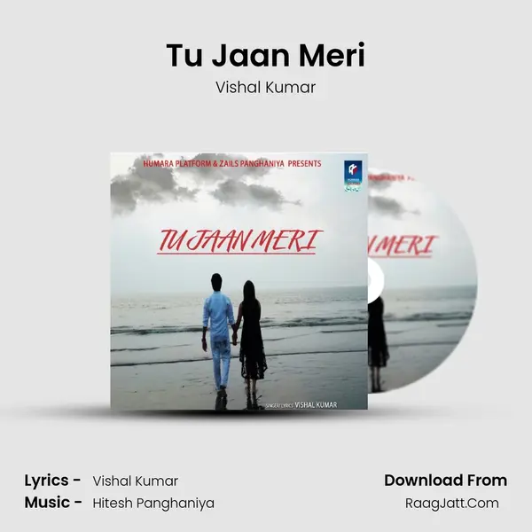 Tu Jaan Meri Song mp3 | Vishal Kumar