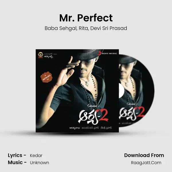 Mr. Perfect Song mp3 | Baba Sehgal