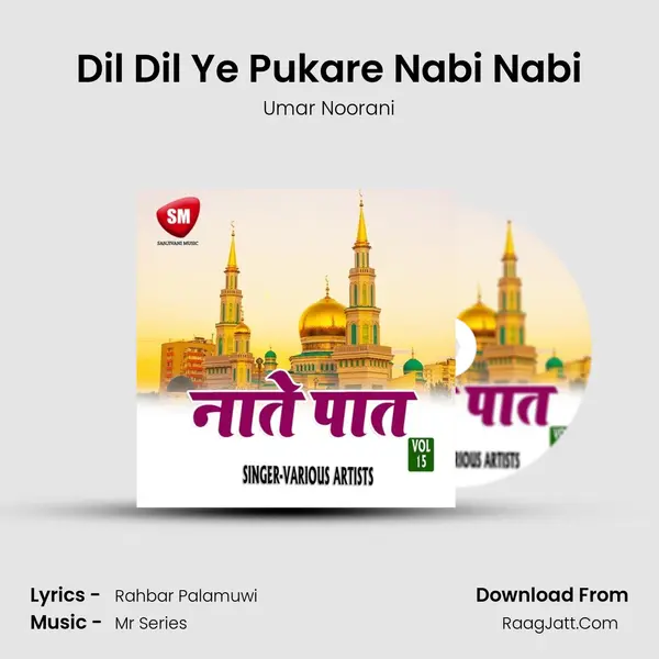 Dil Dil Ye Pukare Nabi Nabi Song mp3 | Umar Noorani