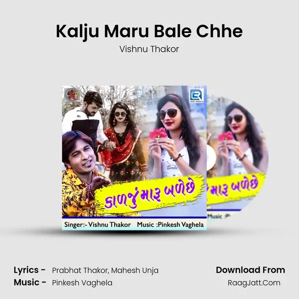 Kalju Maru Bale Chhe Song mp3 | Vishnu Thakor