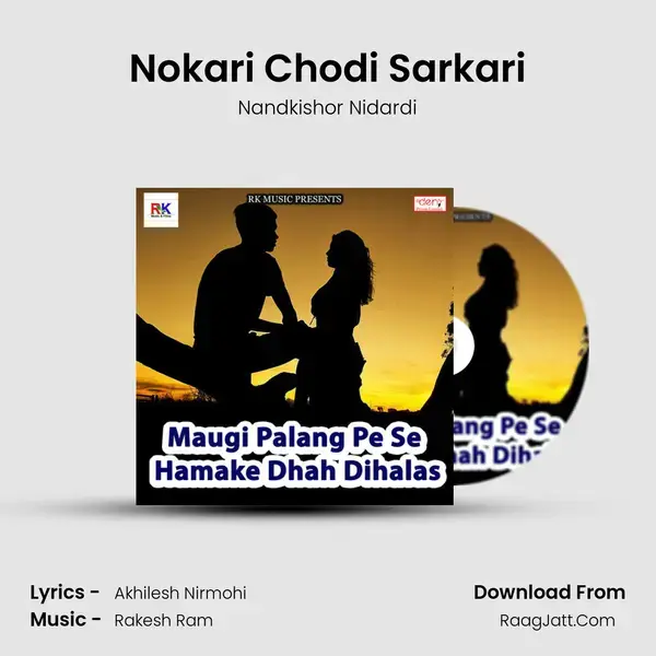 Nokari Chodi Sarkari Song mp3 | Nandkishor Nidardi