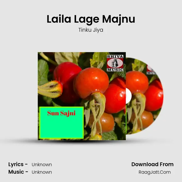 Laila Lage Majnu Song mp3 | Tinku Jiya