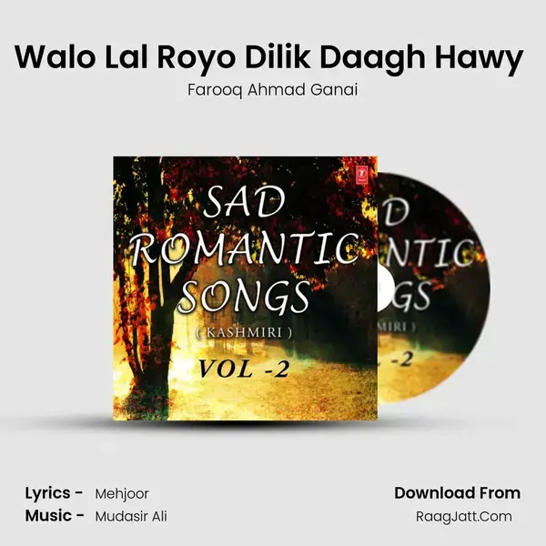 Walo Lal Royo Dilik Daagh Hawy (From Dil Daro Walo) mp3 song