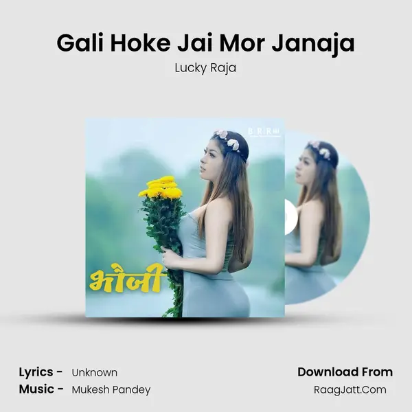 Gali Hoke Jai Mor Janaja Song mp3 | Lucky Raja