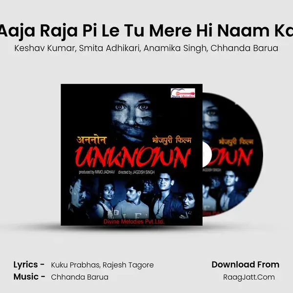 Aaja Raja Pi Le Tu Mere Hi Naam Ka mp3 song