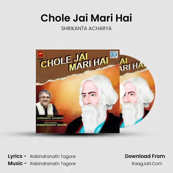 Chole Jai Mari Hai mp3 song