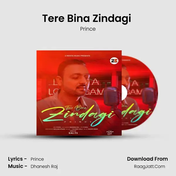 Tere Bina Zindagi (Prince) mp3 song