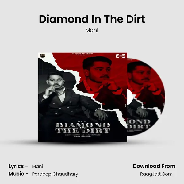 Diamond In The Dirt mp3 song