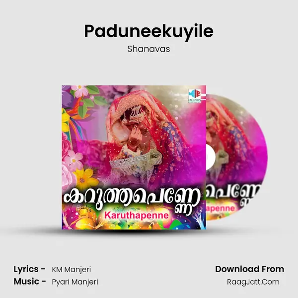 Paduneekuyile Song mp3 | Shanavas