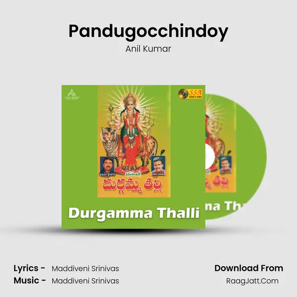 Pandugocchindoy Song mp3 | Anil Kumar