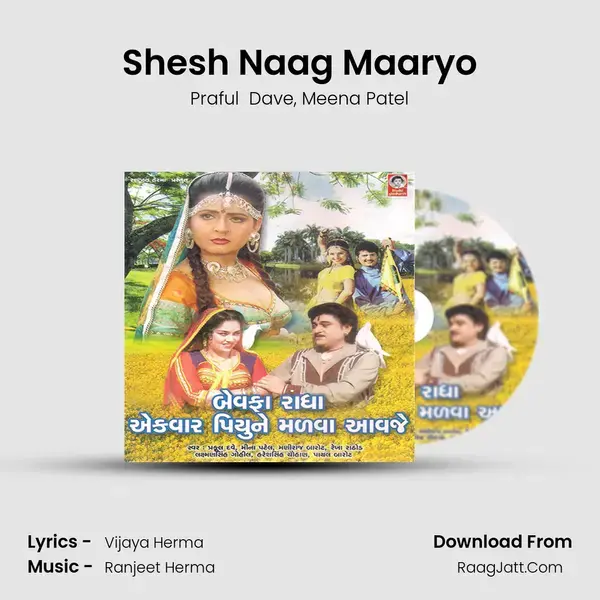 Shesh Naag Maaryo Song mp3 | Praful  Dave