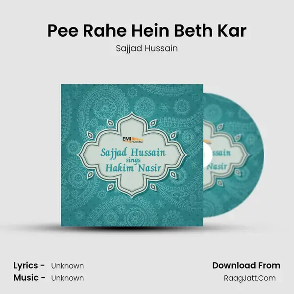 Pee Rahe Hein Beth Kar mp3 song