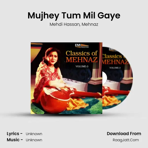 Mujhey Tum Mil Gaye Song mp3 | Mehdi Hassan