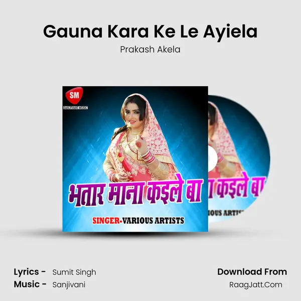 Gauna Kara Ke Le Ayiela mp3 song