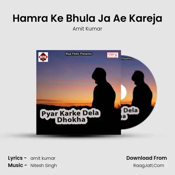 Hamra Ke Bhula Ja Ae Kareja Song mp3 | Amit Kumar