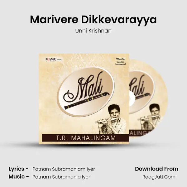 Marivere Dikkevarayya Song mp3 | Unni Krishnan