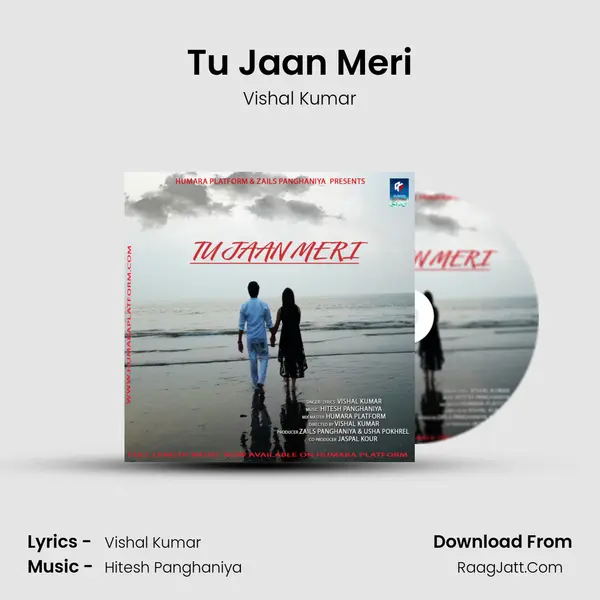 Tu Jaan Meri - Vishal Kumar