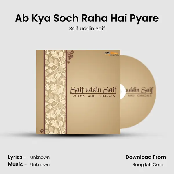 Ab Kya Soch Raha Hai Pyare mp3 song