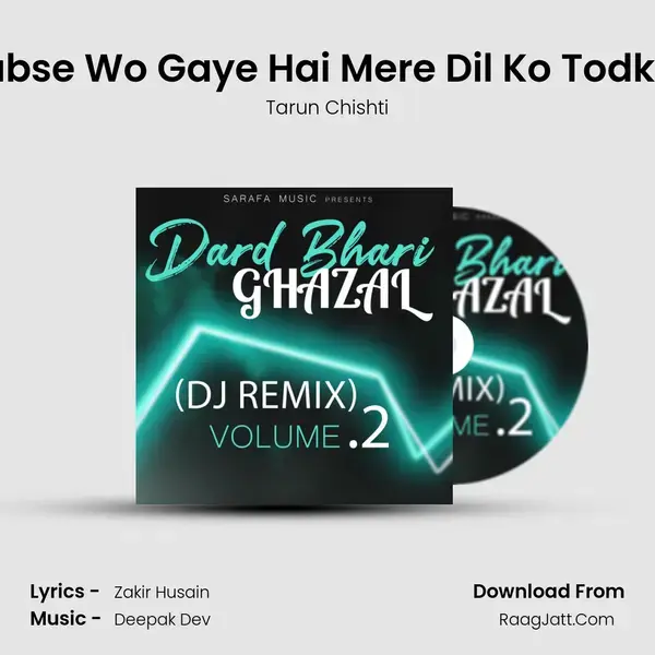 Jabse Wo Gaye Hai Mere Dil Ko Todkar mp3 song