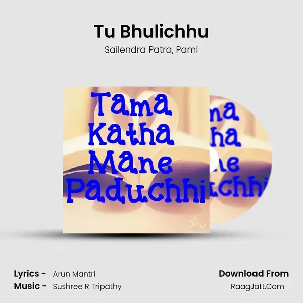 Tu Bhulichhu mp3 song