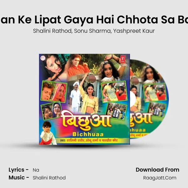 Daman Ke Lipat Gaya Hai Chhota Sa Balam mp3 song