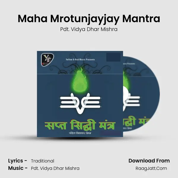 Maha Mrotunjayjay Mantra Song mp3 | Pdt. Vidya Dhar Mishra