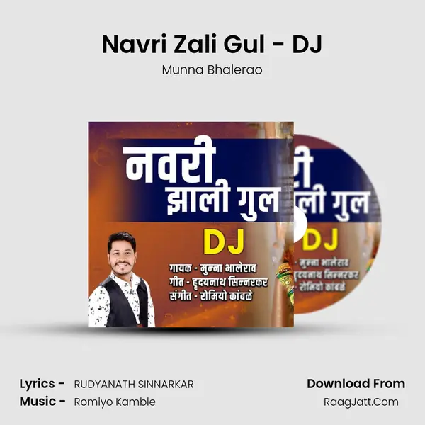 Navri Zali Gul - DJ mp3 song