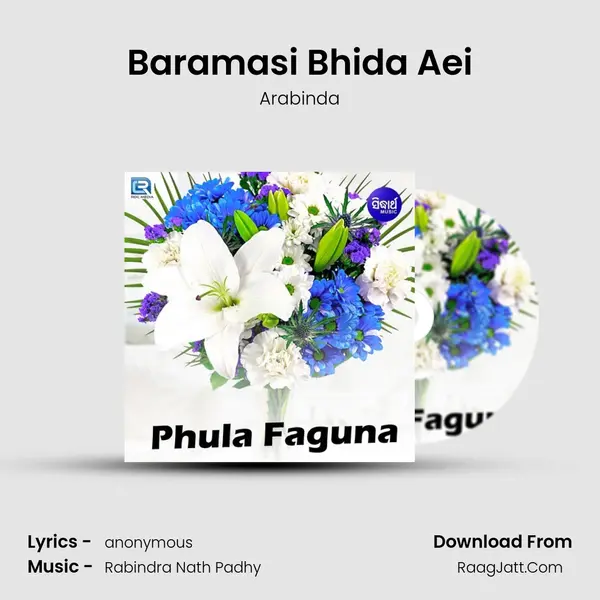 Baramasi Bhida Aei mp3 song