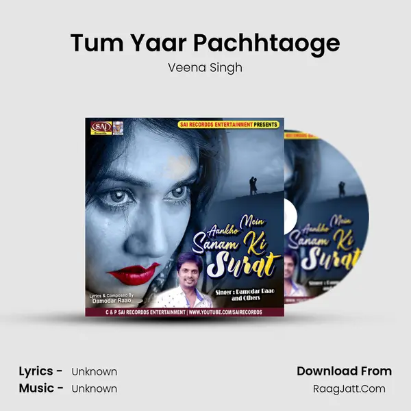 Tum Yaar Pachhtaoge Song mp3 | Veena Singh