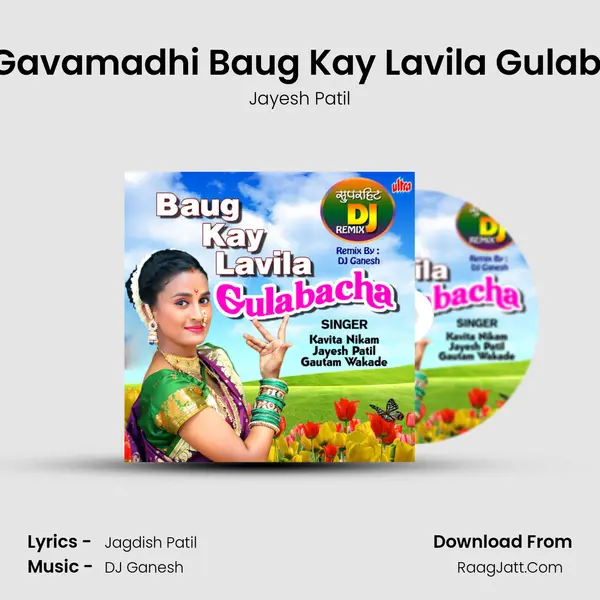 Khanivade Gavamadhi Baug Kay Lavila Gulabacha Remix Song mp3 | Jayesh Patil