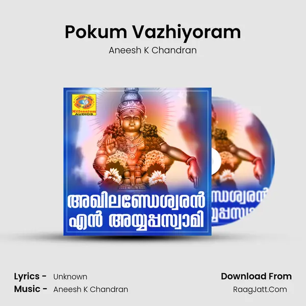 Pokum Vazhiyoram mp3 song