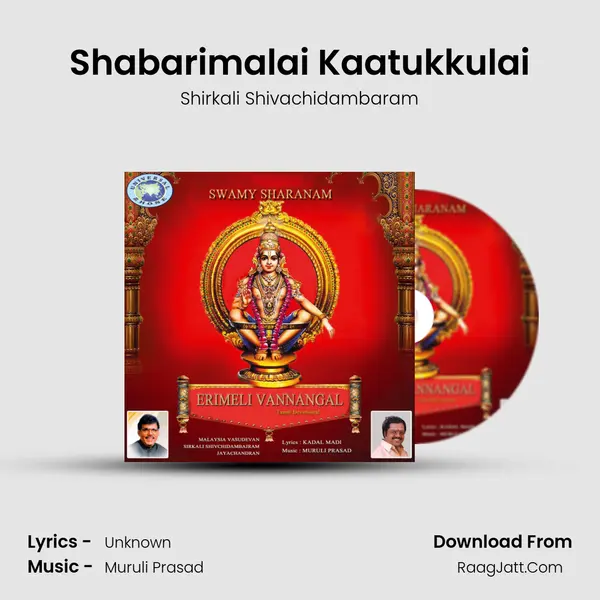 Shabarimalai Kaatukkulai Song mp3 | Shirkali Shivachidambaram