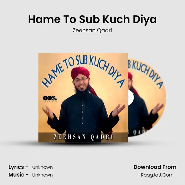 Hame to Sub Kuch Diya - Single - Zeehsan Qadri