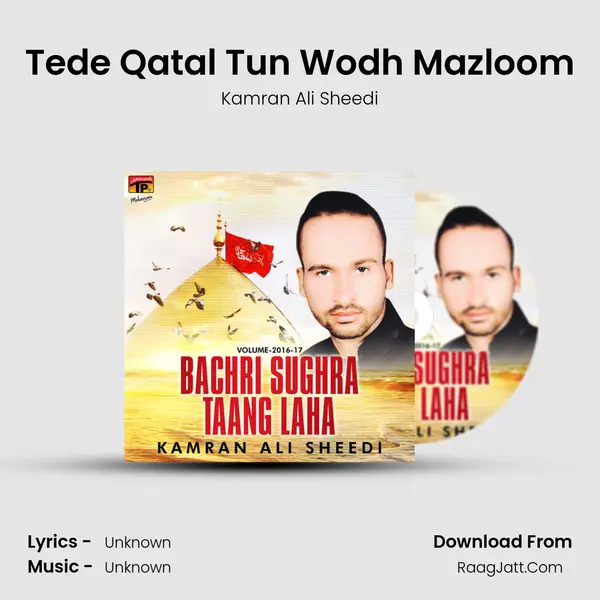 Tede Qatal Tun Wodh Mazloom Song mp3 | Kamran Ali Sheedi