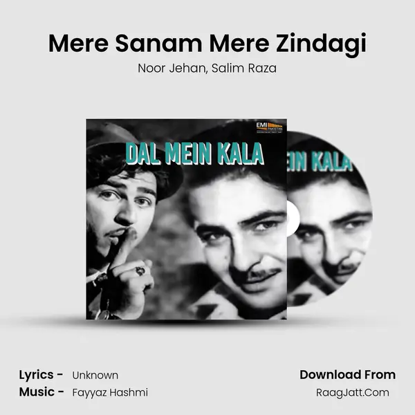 Mere Sanam Mere Zindagi Song mp3 | Noor Jehan